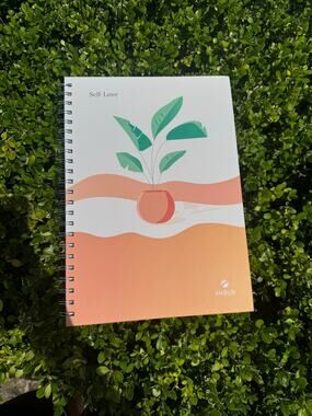 Switch Research Therapy Journal